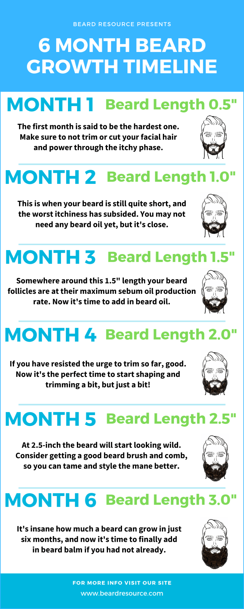 6 month beard growth timeline infographic