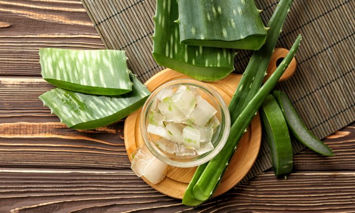 aloe vera for beard