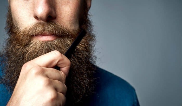 beard comb and big long beard