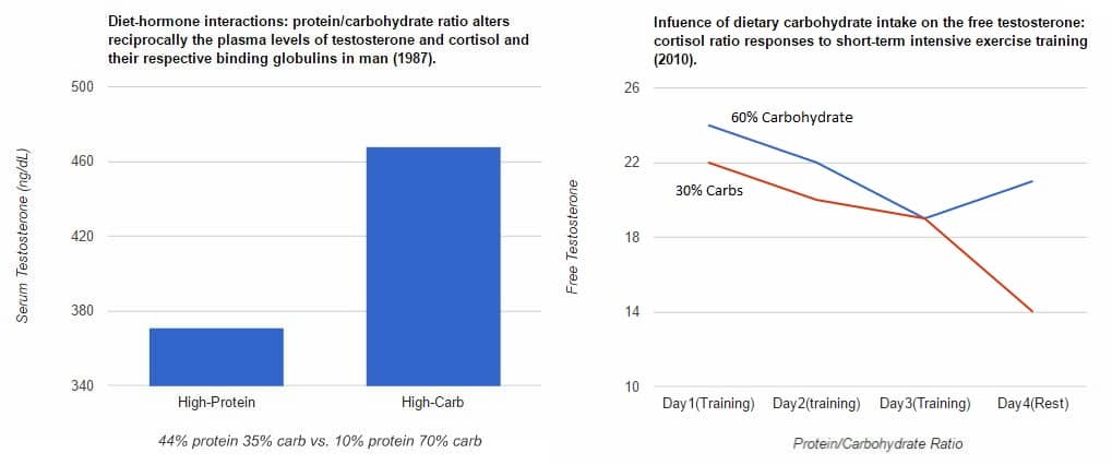 graphs from studies on carbohydrates and testosterone