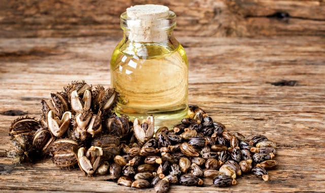 castor oil and seeds