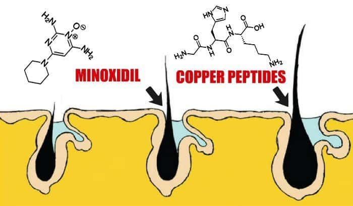 copper peptides beard illustration