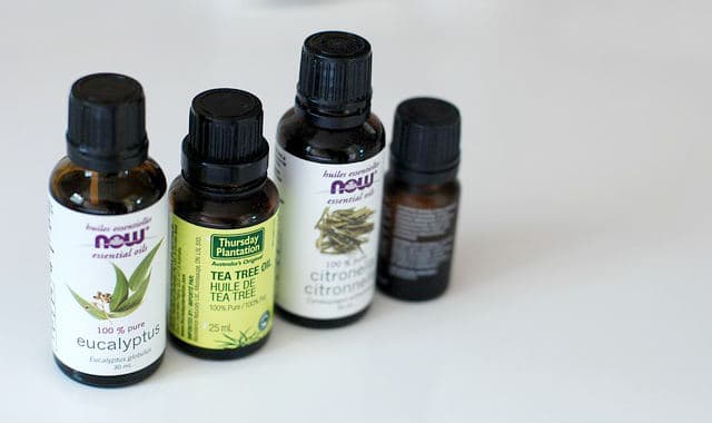 essential oils eucalyptus and tea tree