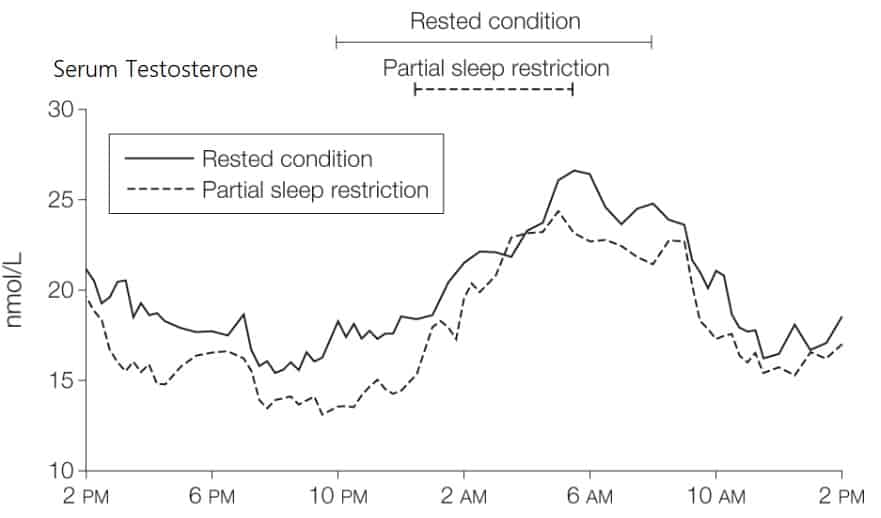 sleep testosterone graph