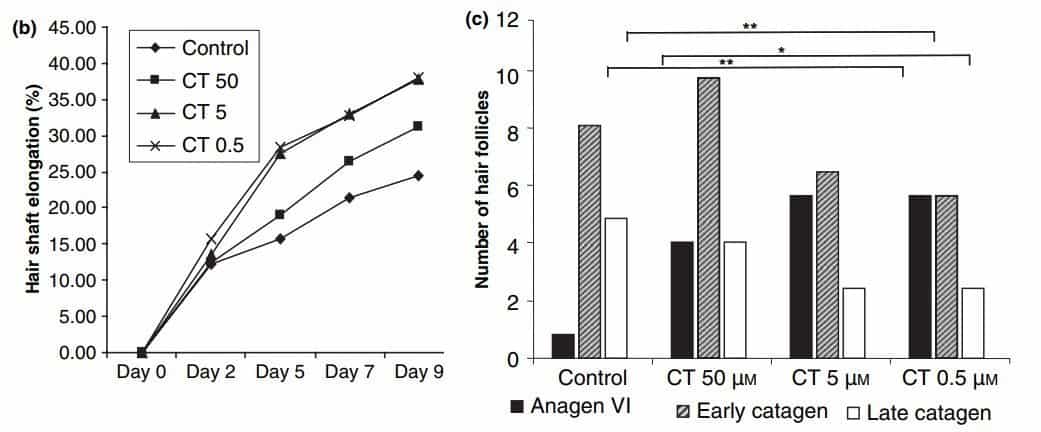 foizik et al carnitine hair growth study graphs