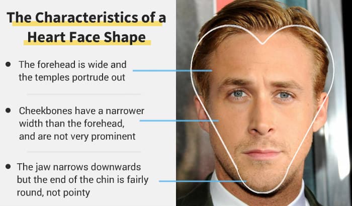 heart face shape key features