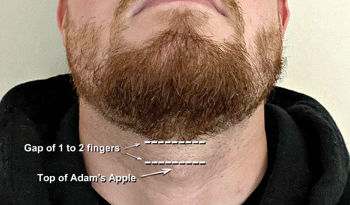 how to find beard neckline illustration