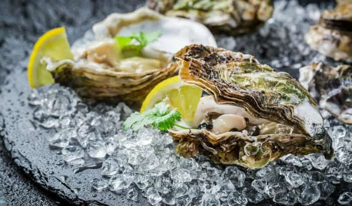 oysters are a rich source of minerals