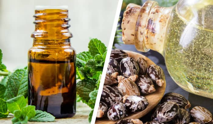 peppermint and castor oils