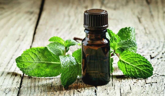 peppermint essential oil