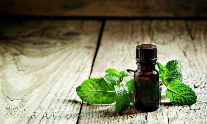 peppermint oil bottle