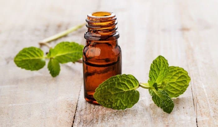 peppermint oil