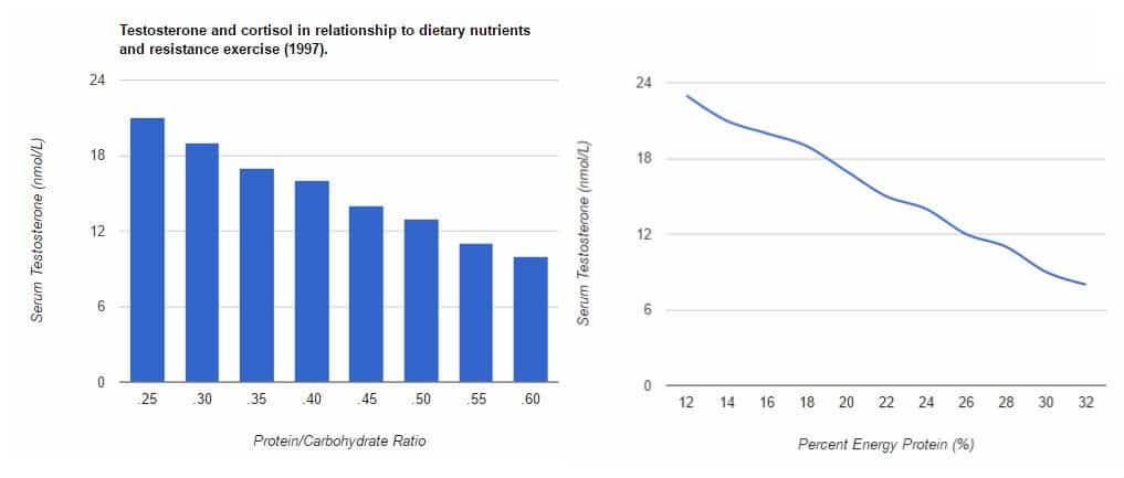 graphs from two studies on protein and testosterone levels