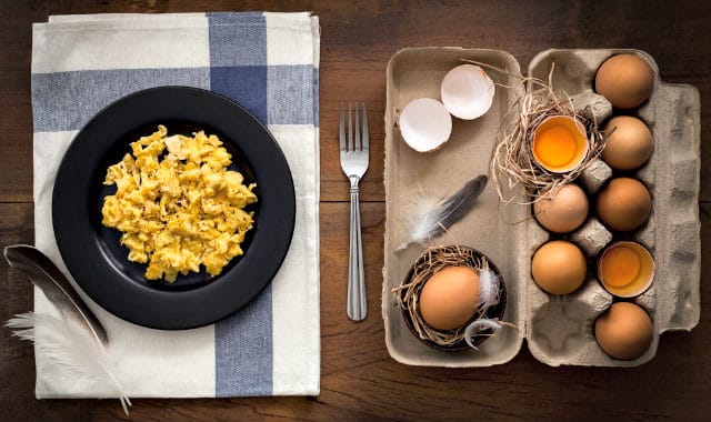 scrambled eggs on plate and carton of eggs