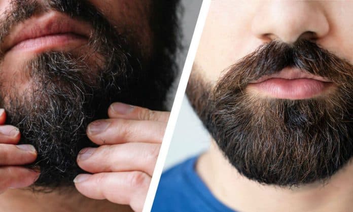 stop beard hairs from sticking out featured