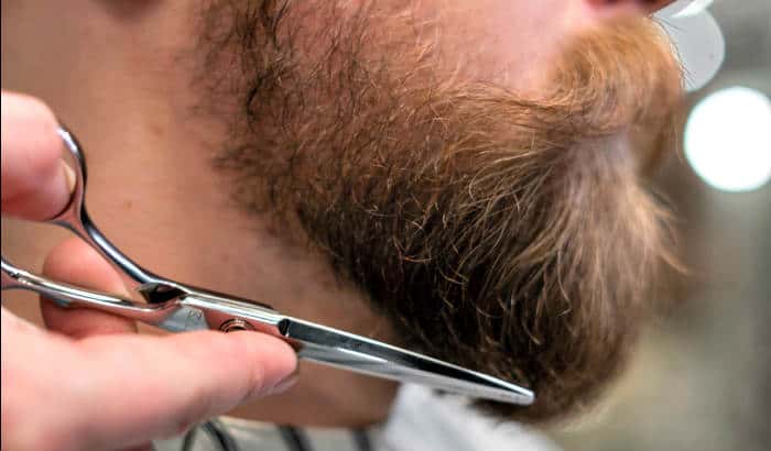 trimming a verdi beard