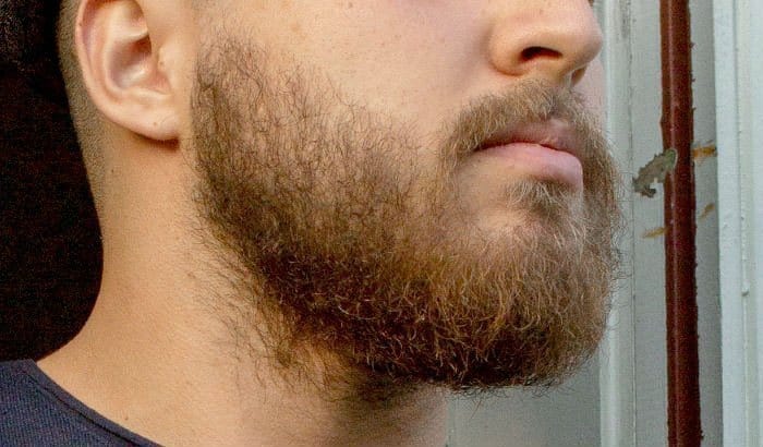 usual 2 month beard example