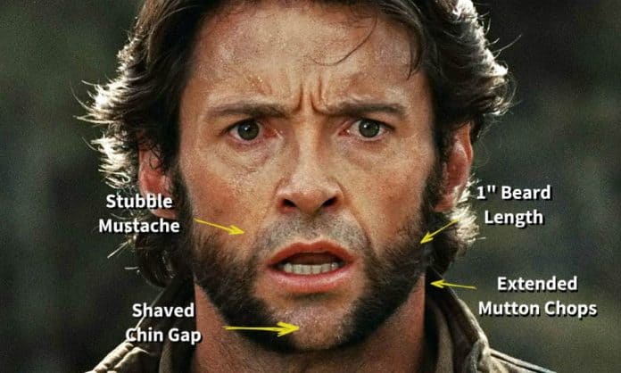 wolverine beard style